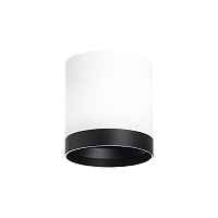 Lightstar Комплект со светильником Rullo R34863487 - цена и фото Lightstar Комплект со светильником Rullo R34863487 - цена и фото