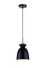 Светильник подвесной Toplight Marylou TL1202H-01BK - цена и фото
