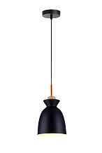 Светильник подвесной Toplight Marylou TL1202H-01BK - цена и фото Светильник подвесной Toplight Marylou TL1202H-01BK - цена и фото