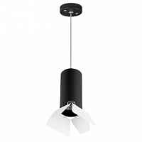 Подвесной светильник Lightstar RULLO HP16 RP487436 - цена и фото Подвесной светильник Lightstar RULLO HP16 RP487436 - цена и фото