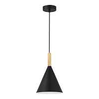 Подвесной светильник ST Luce Arket SLE1255-403-01 - цена и фото Подвесной светильник ST Luce Arket SLE1255-403-01 - цена и фото