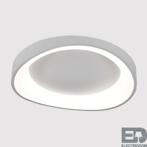Потолочный светодиодный светильник Arte Lamp Sualocin A2698PL-60WH - цена и фото
