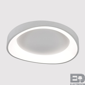Потолочный светодиодный светильник Arte Lamp Sualocin A2698PL-60WH - цена и фото