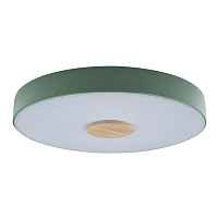 Потолочный светильник Loft IT Axel 10003/24 Green - цена и фото Потолочный светильник Loft IT Axel 10003/24 Green - цена и фото