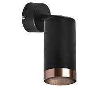 Lightstar Комплект со светильником Rullo RB437430 - цена и фото Lightstar Комплект со светильником Rullo RB437430 - цена и фото