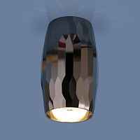 Накладной потолочный светильник Elektrostandard DLN104 DLN104 GU10 a047725 - цена и фото