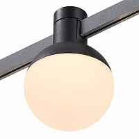 ST815.446.05 Магнитный трековый светильник FARM Черный LED 1*5W 4000K 78Lm Ra90 120 IP20 D75xH109 2 - цена и фото