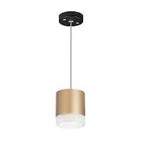 Lightstar Комплект со светильником Rullo RP349080 - цена и фото Lightstar Комплект со светильником Rullo RP349080 - цена и фото