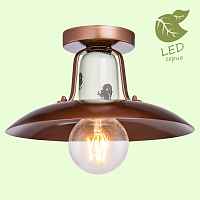 Накладной светильник Lussole LOFT GRLSP-8162 - цена и фото