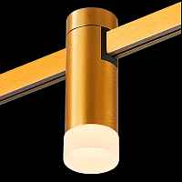 ST812.206.03 Магнитный трековый светильник FARM Золотистый LED 1*3W 3000K 93Lm Ra90 120 IP20 D29xH90 - цена и фото