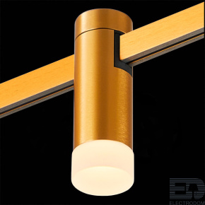 ST812.206.03 Магнитный трековый светильник FARM Золотистый LED 1*3W 3000K 93Lm Ra90 120 IP20 D29xH90 - цена и фото