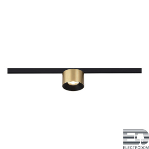 ST669.336.05 Магнитный трековый светильник Латунь LED 1*5W 3000K 350Lm Ra>90 36° IP20 D60xH38 24V - цена и фото