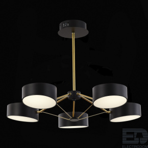 EVOLUCE SLE6005-402-05 Светильник потолочный Черный, Золотистый/Черный LED 5*10W - цена и фото