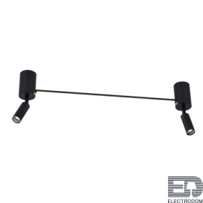 Светодиодный спот Arte Lamp Rasalas A2219PL-2BK - цена и фото