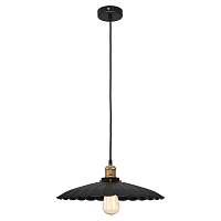 Светильник подвесной ST LUCE KARLO SLD969.433.01 - цена и фото