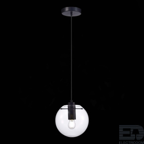 ST LUCE SL1056.403.01 Подвес ST-Luce Черный/Прозрачный E27 1*60W - цена и фото