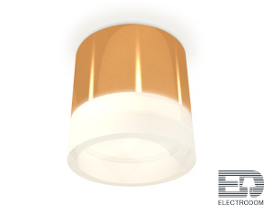 Комплект накладного светильника с акрилом XS8121010 Ambrella light - цена и фото