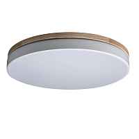 Потолочный светильник Loft IT Axel 10001/36 White - цена и фото Потолочный светильник Loft IT Axel 10001/36 White - цена и фото