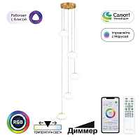 Подвесной светодиодный светильник Citilux Atman Smart CL226A053 - цена и фото
