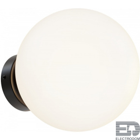 Настенно-потолочный светильник Basic form Maytoni MOD321WL-01B1 - цена и фото