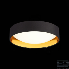 Светильник потолочный Evoluce ORBIO SLE201102-01 - цена и фото