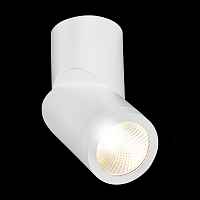 Светильник потолочный ST LUCE ST650 ST650.532.10 - цена и фото Светильник потолочный ST LUCE ST650 ST650.532.10 - цена и фото