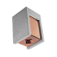 Потолочный светильник Loft IT Architect OL1073-GG
