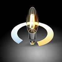 Светодиодная лампа Свеча Smart F C37 Е14 5W 3300К-6500К CCT+DIM Elektrostandard BLE1437 - цена и фото