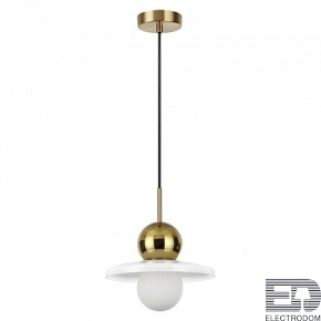 Светильник подвесной Odeon Light Hatty 5014/1B - цена и фото