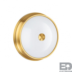 Настенно-потолочный светильник Odeon Light Walli 4824/3C - цена и фото