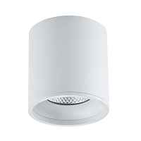 ST165.542.12 Светильник потолочный Белый LED 1*12W 4000K 840Lm Ra>90 36° IP44 D80xH85 85-265V - цена и фото