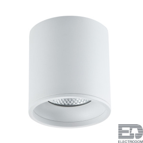 ST165.542.12 Светильник потолочный Белый LED 1*12W 4000K 840Lm Ra>90 36° IP44 D80xH85 85-265V - цена и фото