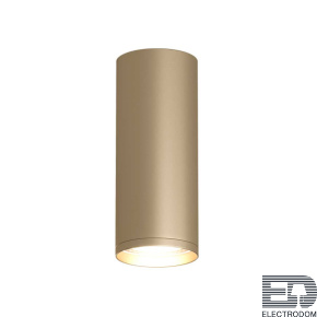 Накладной светильник Denkirs TUBE DK2051-SG - цена и фото