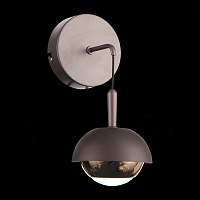 Светильник настенный ST LUCE ENTOLLA SL1602.321.01 - цена и фото