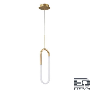 Подвесной светодиодный светильник Arte Lamp Lumino A2233SP-20GO - цена и фото