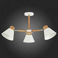 Люстра потолочная Evoluce BUVE SLE103702-03 - цена и фото Люстра потолочная Evoluce BUVE SLE103702-03 - цена и фото
