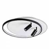 Потолочная люстра Lumion Naoko 5603/75CL - цена и фото Потолочная люстра Lumion Naoko 5603/75CL - цена и фото