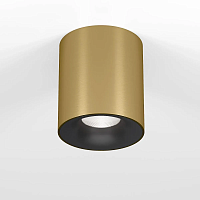 Потолочный светодиодный светильник Elektrostandard Primo 25116/LED a069414 - цена и фото