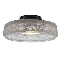 SL6143.402.01 Светильник потолочный ST-Luce черный/прозрачный LED 1*15W 4000K - цена и фото