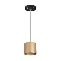Lightstar Комплект со светильником Rullo RP3490 - цена и фото Lightstar Комплект со светильником Rullo RP3490 - цена и фото
