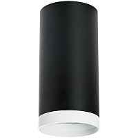 Lightstar Комплект со светильником Rullo R64873486 - цена и фото Lightstar Комплект со светильником Rullo R64873486 - цена и фото