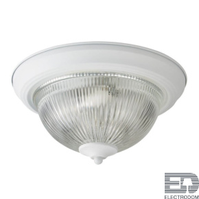 Потолочный светильник Arte Lamp aqua A9370PL-2WH - цена и фото