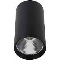 Kink Light Точечный светильник Фабио 08570-10,19 - цена и фото