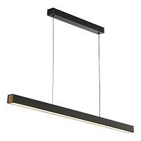 Подвесной светодиодный светильник Lussole Dade LSP-7245 - цена и фото