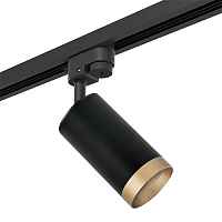 Lightstar Комплект со светильником Rullo R1T43740 - цена и фото Lightstar Комплект со светильником Rullo R1T43740 - цена и фото