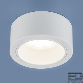 Накладной потолочный светильник Elektrostandart 1070 GX53 WH белый - цена и фото