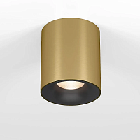 Потолочный светодиодный светильник Elektrostandard Primo 25116/LED a069413 - цена и фото