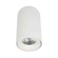 Потолочный светодиодный светильник Loft IT Tictac 10220 White 3000K - цена и фото