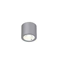 Потолочный светильник Favourite DEORSUM 2808-1C - цена и фото