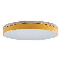 Потолочный светильник Loft IT Axel 10001/36 Yellow - цена и фото Потолочный светильник Loft IT Axel 10001/36 Yellow - цена и фото